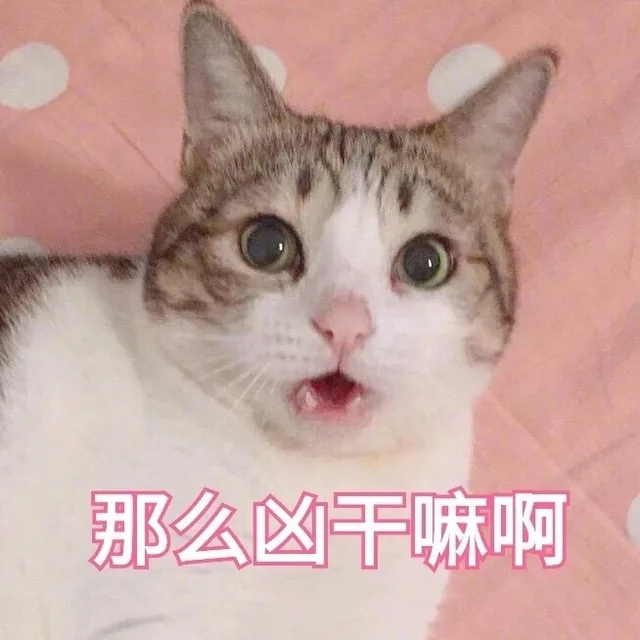 那么凶干嘛啊（那么凶干嘛啊）