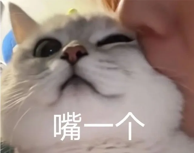 嘴一个（嘴一个）
