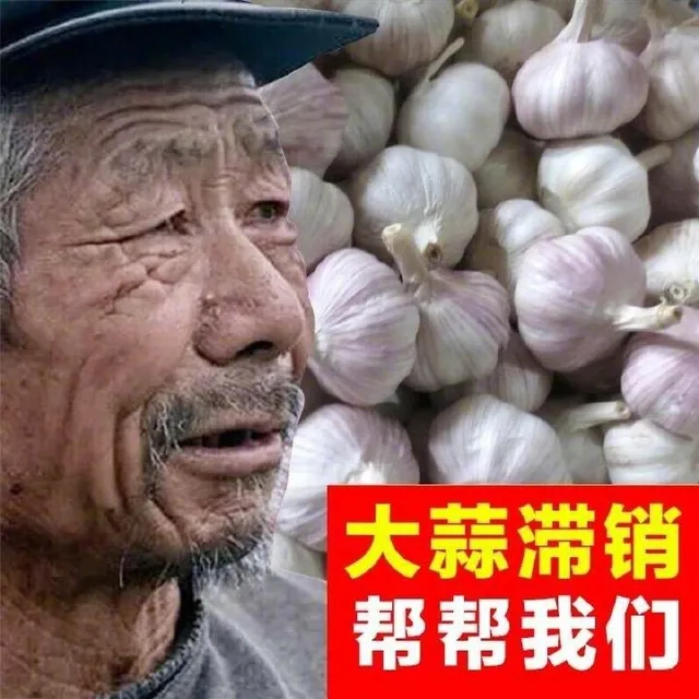 大蒜滞销帮帮我们