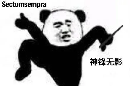 Sectumsempra神锋无影（Sectumsempra神锋无影）