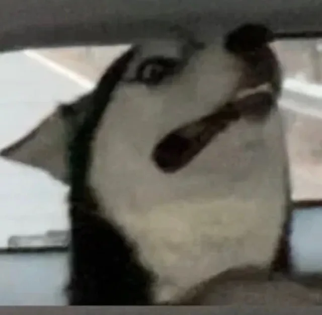 G（G）