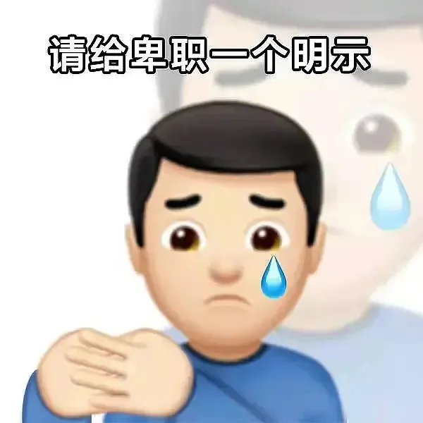 请给卑职一个明示（请给卑职一个明示）