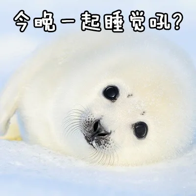今晚一起睡觉吼？