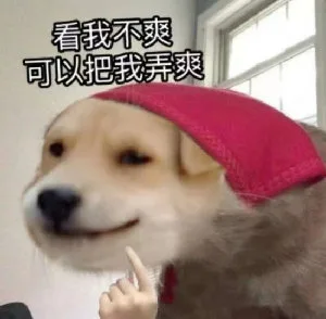 看我不爽可以把我弄爽（看我不爽可以把我弄爽）