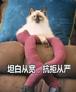 坦白从宽，抗拒从严