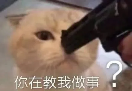 你在教我做事？（孙一宁王思聪聊天表情包）（你在教我做事？（孙一宁王思聪聊天表情包））