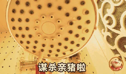 谋杀亲猪啦