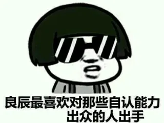 良辰最喜欢对那些自认能力出众的人出手
