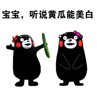 想象很美好，现实总是很残酷（熊本熊）_表情头牌_动图_熊本熊_萌萌哒_搞笑_卡通表情包