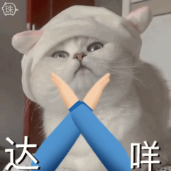 猫猫表情包 达咩（猫猫表情包 达咩）