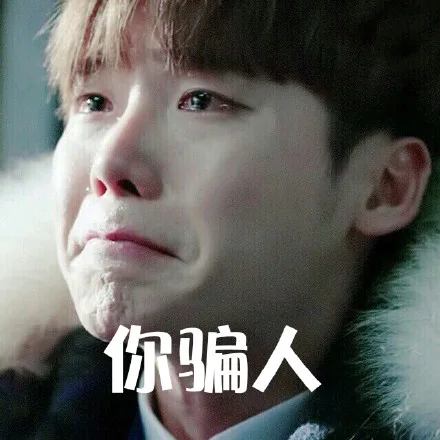 你骗人（你骗人）