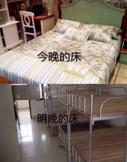 这就是我为啥不想回学校