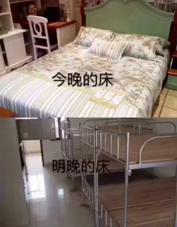 这就是我为啥不想回学校