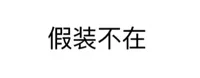 假装不在