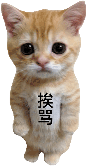 挨骂小猫表情包