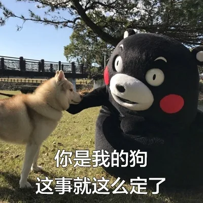 你是我的狗，这事就这么定了（你是我的狗，这事就这么定了）