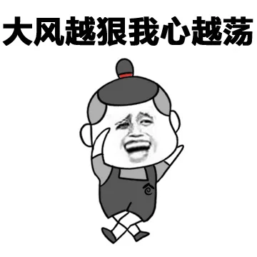 大风越狠 我心越荡
