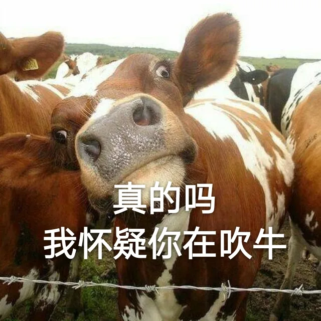 真的吗？我怀疑你在吹牛（真的吗？我怀疑你在吹牛）