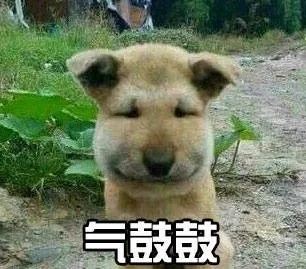 气鼓鼓