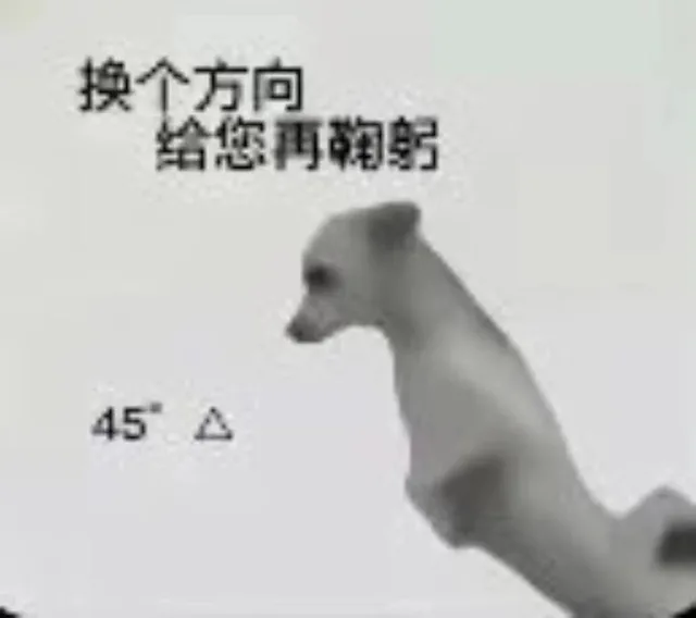 换个方向给您再鞠躬45△（换个方向给您再鞠躬45△）