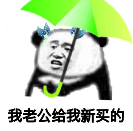 我老公给我新买的绿伞（我老公给我新买的绿伞）