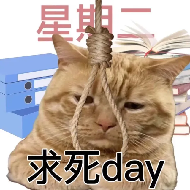 星期求死day（星期求死day）