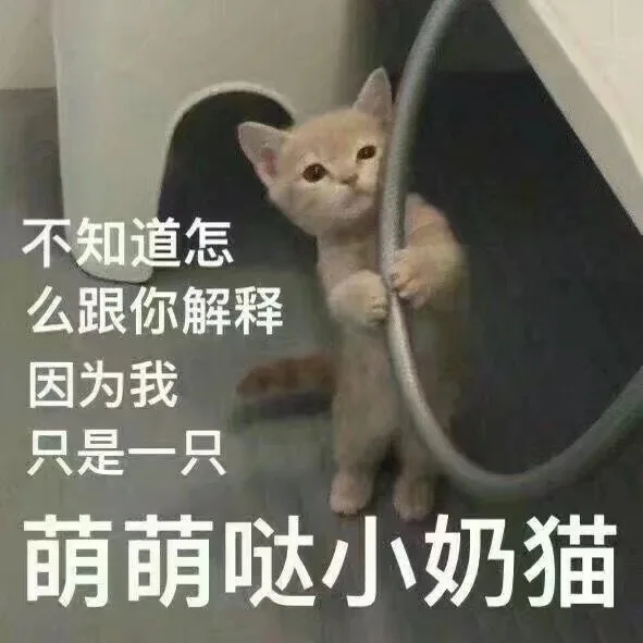 不知道怎么跟你解释，因为我只是一只萌萌哒小奶猫