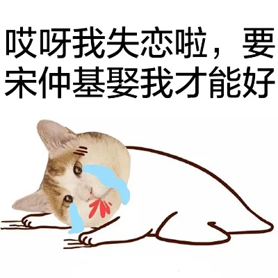 哎呀，我失恋啦，要宋仲基娶我才能好（哎呀，我失恋啦，要宋仲基娶我才能好）