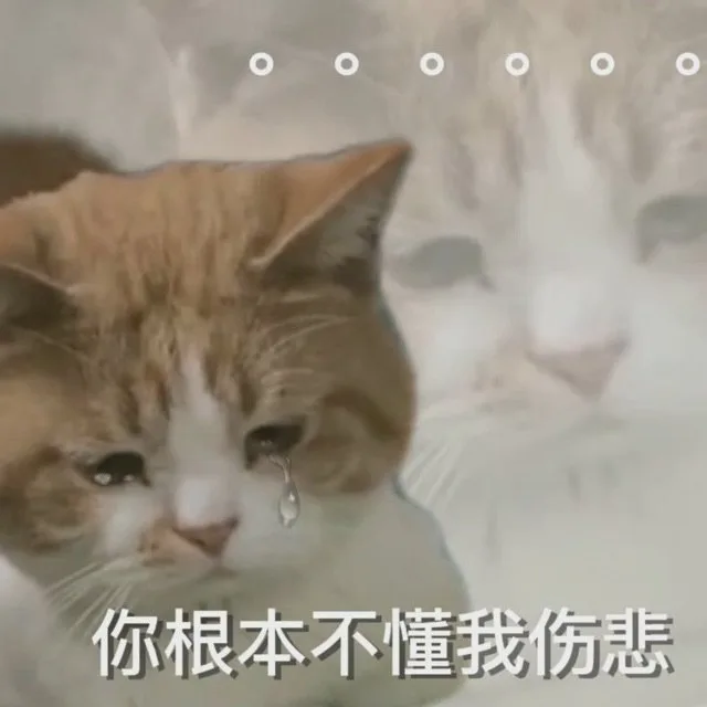 你根本不懂我伤悲（你根本不懂我伤悲）