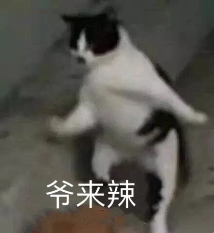 爷来辣（猫咪）（爷来辣（猫咪））