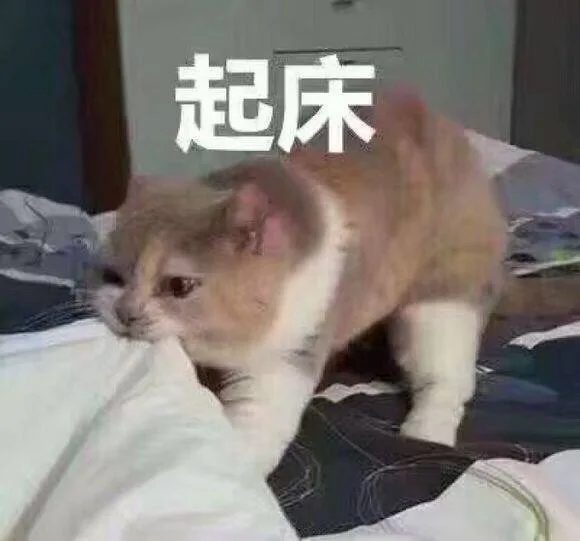 起床，咬你被子
