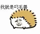 我就是叼毛兽
