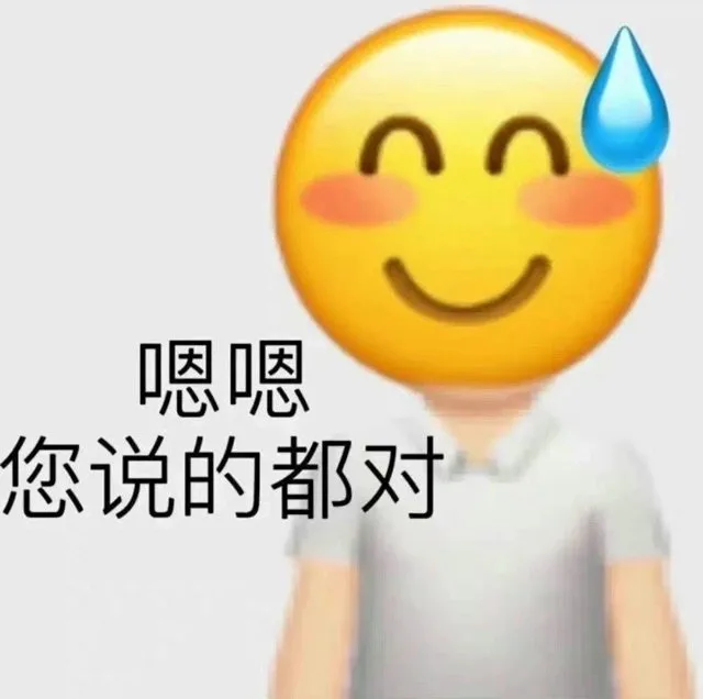 嗯嗯您说的都对（嗯嗯您说的都对）