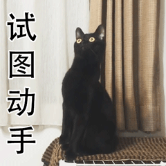 试图动手（试图动手）