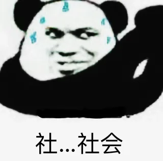 社。。。社会