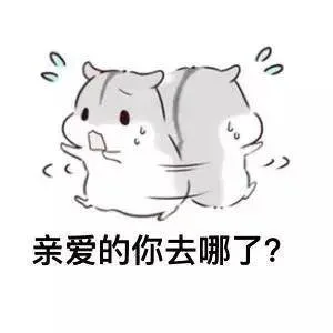 适合情侣用的小兔几表情包_撩妹撩汉表情包