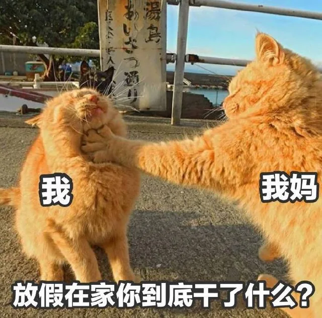 我妈锁喉我：放假在家你到底干了什么（我妈锁喉我：放假在家你到底干了什么）