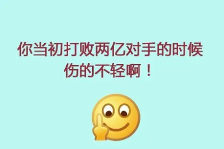 你当初打败两亿对手的时候伤的不轻啊！