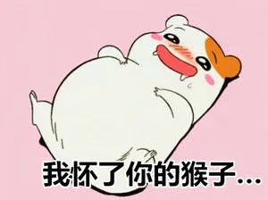 不娶我为什么要耽误我（看家鼠｜仓鼠管家）_看家鼠_仓鼠管家_搞笑表情包