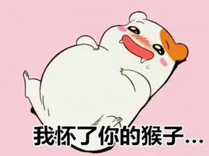 我怀了你的猴子。。。
