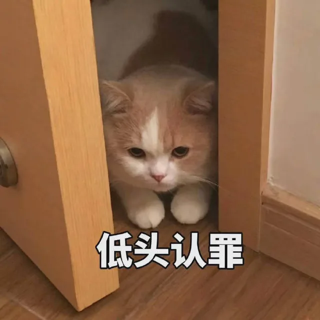 低头认罪