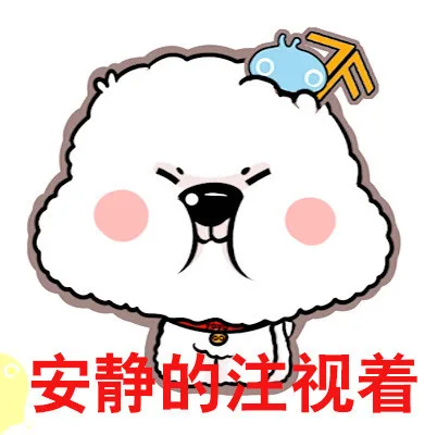 安静的注视着