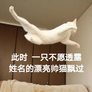 此时一只不愿透露姓名的漂亮帅猫飘过表情包