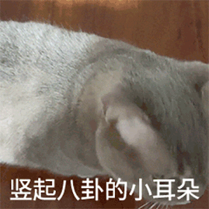 竖起八卦的小耳朵（竖起八卦的小耳朵）