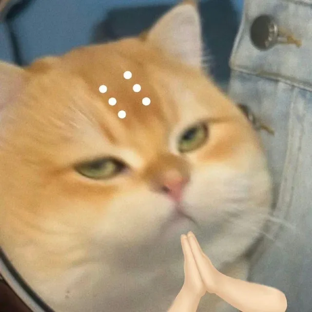 (猫猫阿弥陀佛表情包)（(猫猫阿弥陀佛表情包)）
