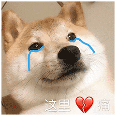 这里心里痛（这里心里痛）