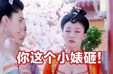 你这个小婊砸！