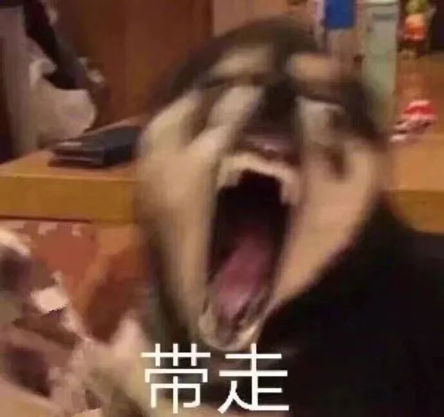 带走（带走）