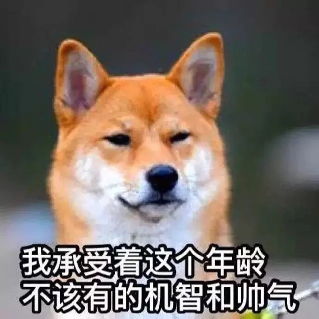 我承受着这个年龄不该有的机智和帅气