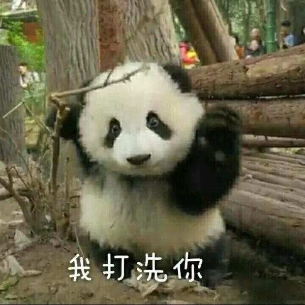 我打洗你（我打洗你）